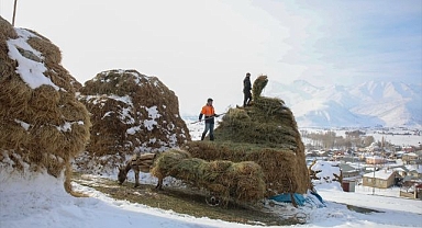 Karlı ve soğuk havada zorlu yaşam