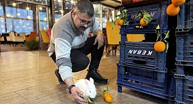 Kedinin ağzından kurtarıldı!  Müşterilerin maskotu oldu