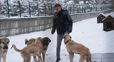 Kentin ikinci hayvan barınağı hizmette