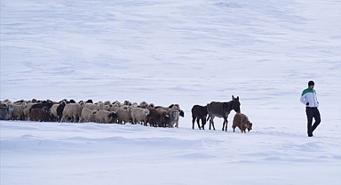 Kışın hayvanların bakımı güçlükle yapılıyor
