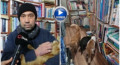 Konteynerde hayata tutundu! Sokak kedilerine de kucak açtı