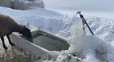 Köyler kar altında kaldı