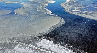 Kuşlara ev sahipliği yapan sulak alanlar buzla kaplandı!