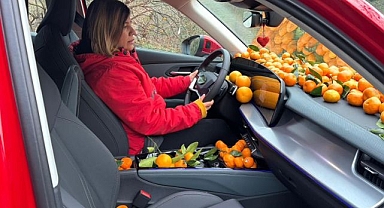 Mandalina bereketi poşetlerden taştı! Ortaya renkli görüntüler çıktı