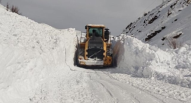 Mezra yoluna düşen çığ temizlendi