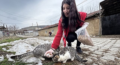 'Patili dostlar' için seferber oldular