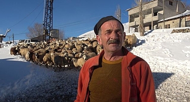 Soğuğa rağmen hayvanlarını sevgiyle büyütüyor 