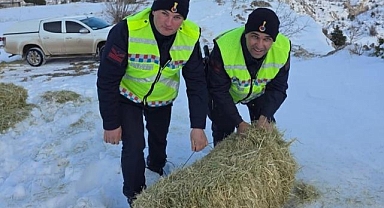 Soğuk havada yabani hayvanlar unutulmadı