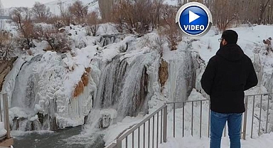 Soğuk havaya dayanamadı!