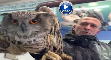 Soğuktan bitkin düştü! Böyle kurtarıldı...