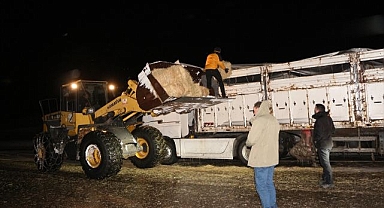 Tipide mahsur kalan hayvanlara saman desteği