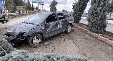 Kaldırıma çıkan araç ağaçları devirdi!