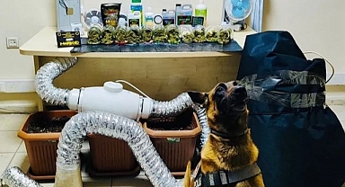 Uyuşturucu imalathanelerine operasyon!