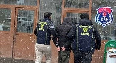 Uyuşturucu ve hırsızlık operasyonunda yakalandılar