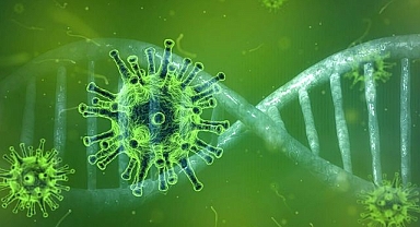 Uzmanından virüslere karşı uyarı