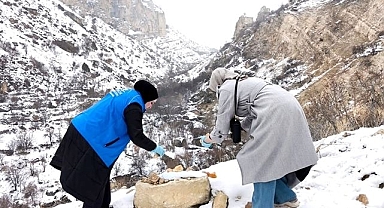 Yaban hayatı için seferber oldular