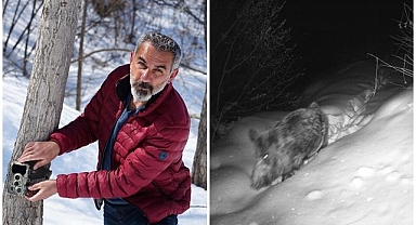 Yaban hayatı kayıt altında   