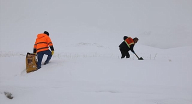 Yaban hayvanları için doğaya yem bırakıldı
