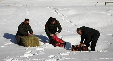 Yaban hayvanları için doğaya yem bırakıldı