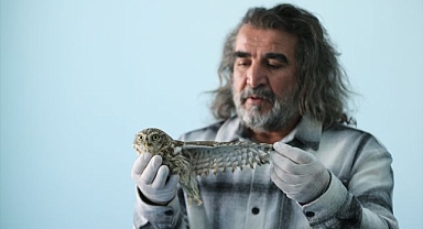 Yaban hayvanları o merkezde misafir ediliyor