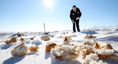 Yaban hayvanları unutulmadı