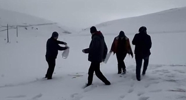 Yaban hayvanlarını unutmadılar