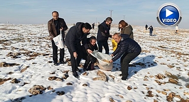 Yaban hayvanlarını unutmadılar
