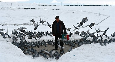 Yaban kuşları için her gün kar kürüyor! 