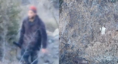 Yasa dışı avcılığa geçit yok