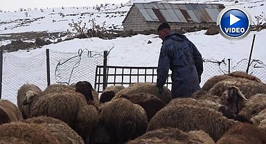 Yayla bitti, besi başladı...
