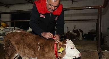 Yeni yıl 'Bereket'le geldi
