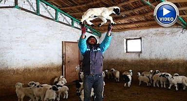 Yeni yıl bereketiyle geldi! Doğumlar arttı..