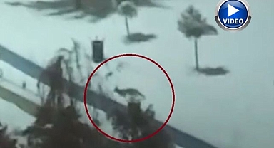 Yiyecek bulmak için şehre indiler