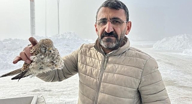 Yürek burkan manzara: Konduğu yerde dondu!