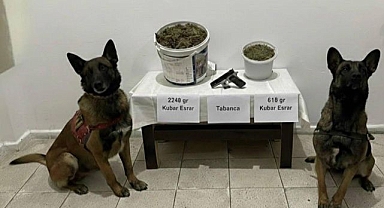 Zehir tacirleri yakayı ele verdi