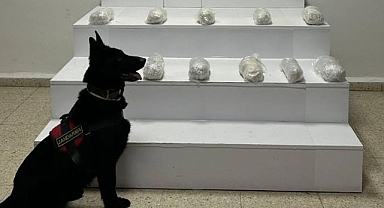 Zehir tacirlerine nefes aldırmadılar