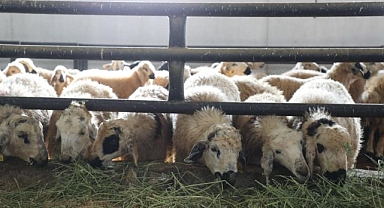 6 köy karantinaya alındı