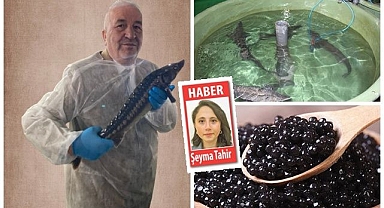 Altın değerinde üretim! Havyarın yeni adresi Erzurum olacak