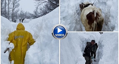 Besicilerin zorlu kış mesaisi! Kar kalınlığı insan boyunu aştı