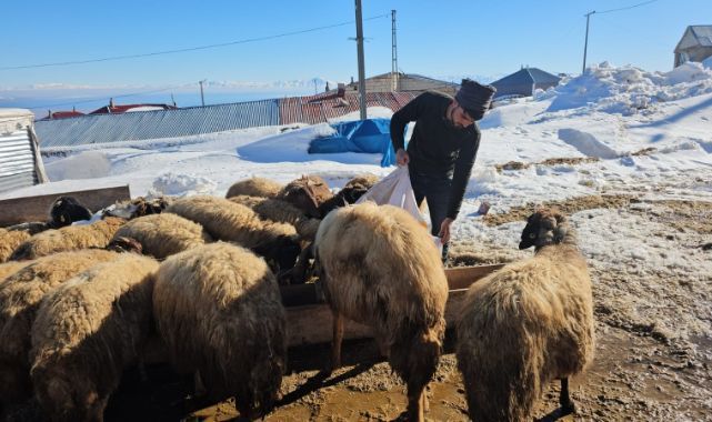 Dağın gölgesinde zorlu mesai