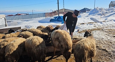 Dağın gölgesinde zorlu mesai