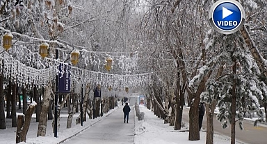 Erzurum'da ağaçlar kırağı tuttu