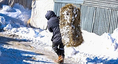 Erzurum'da besicilerin zorlu mesaisi 