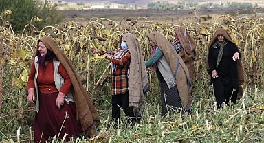Erzurum’da kadın çiftçiler geleceği yeşertiyor