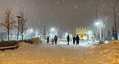 Erzurum'da kar yağışı etkili oldu