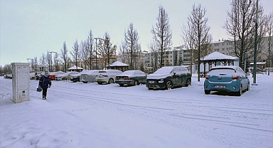 Erzurum'da kar yağışı etkili oldu
