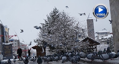 Erzurum'da kar yağışı etkili oluyor