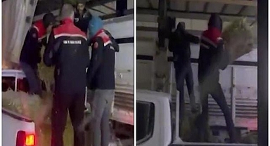 Erzurum'da yoğun kar yağışında üreticiye destek