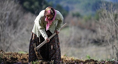 Erzurum'un kırsalında sessiz tehlike: Gençler bu işte yok!