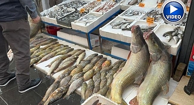 Görenleri hayrete düşürdü! Tam 120 kilo...